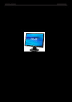 Asus VW161